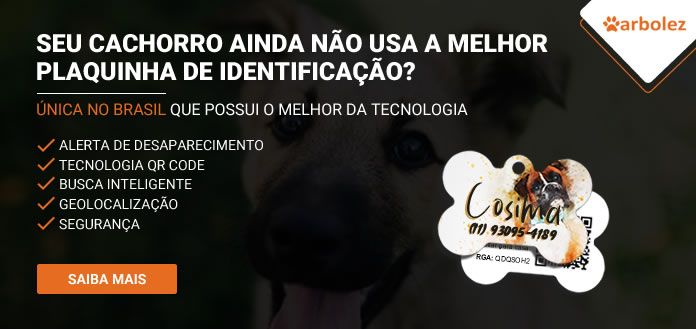 Nomes diferentões pra usar nem que seja no seu Pet