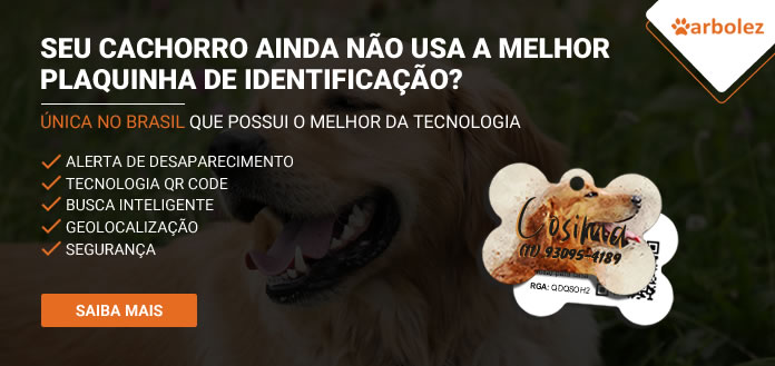 Plaquinha de identificação para cães Golden Retriever com QR code e geolocalização