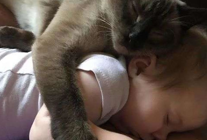 Gatinha abraçando e dormindo com bebê