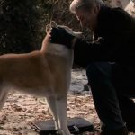 Filmes de cachorro para pessoas que amam os animais