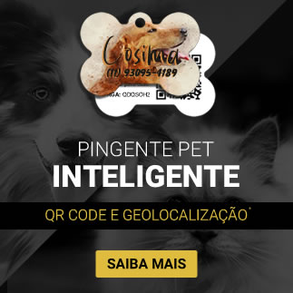 7 filmes de cachorro que você precisa assistir - Blog VETEX